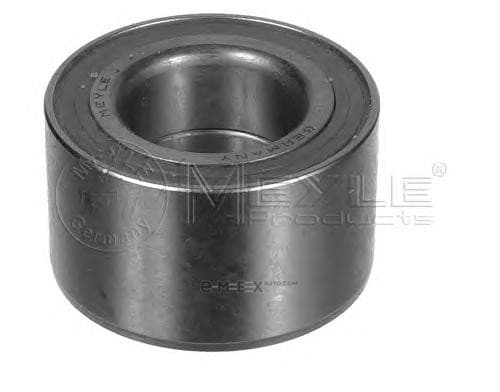 OEM WHEEL BEARING FRONT 1004070031