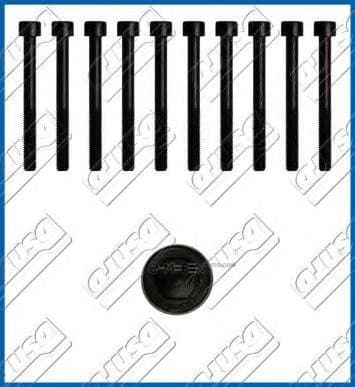 OEM CYLINDER HEAD BOLT SE 81015400