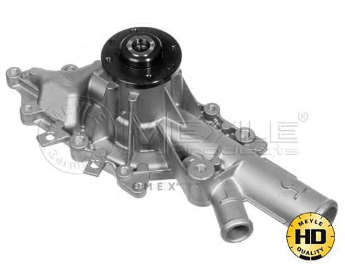 OEM WATER PUMP ASSY 0132200003HD