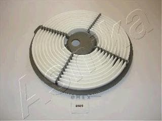 OEM FILTER ASSY, AIR ELEMENT 2002240