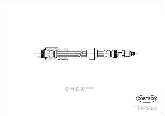 OEM 19018886