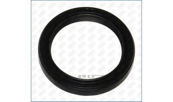 OEM SEAL RING 15015300