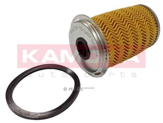 OEM FILTER ASSY, FUEL PUMP F307201