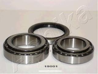 OEM BEARING, HUB 4419001