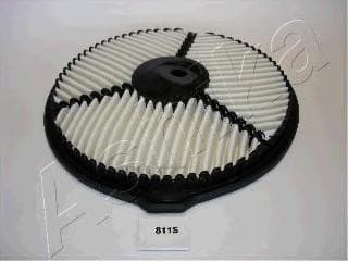 OEM FILTER ASSY, AIR ELEMENT 2008811