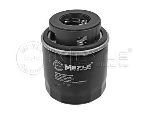 OEM OIL FILTER 1003220015