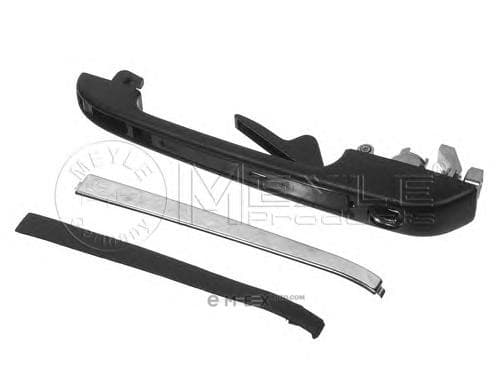 OEM OUTSIDE DOOR HANDLE 1008370015