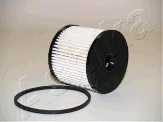 OEM FILTER ASSY, FUEL PUMP 30ECO019