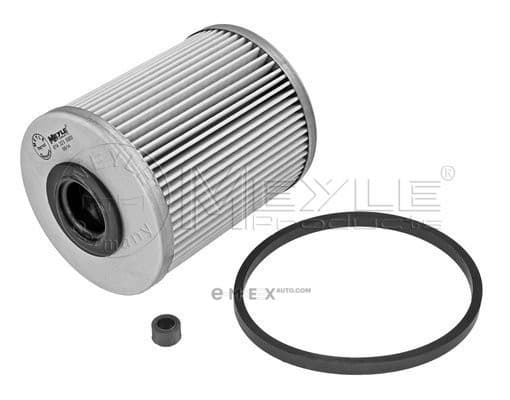 OEM FILTER ASSY, FUEL PUMP 6143230000