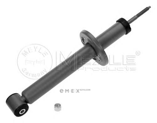 OEM SHOCK ABSORBER-RR-VW 1267150017