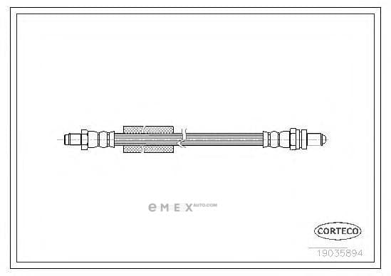 OEM 19035894