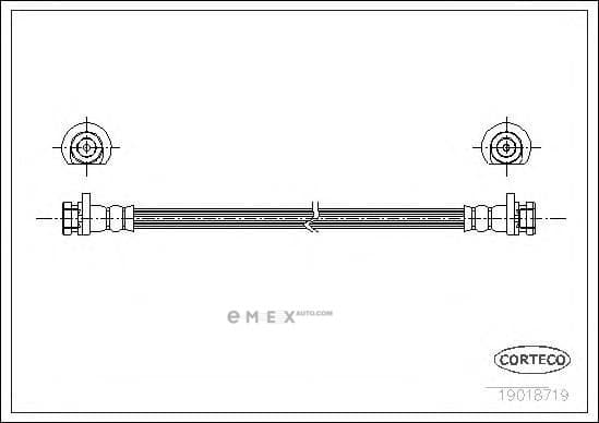 OEM 19018719