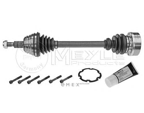 OEM Drive Shaft 1004980147