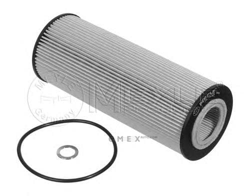 OEM OIL FILTER 1001150011