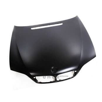 OEM HOOD 41617042893