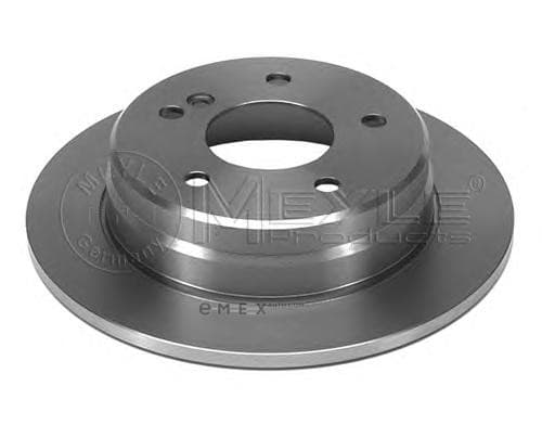 OEM BRAKE DISC (RR) 0155232011