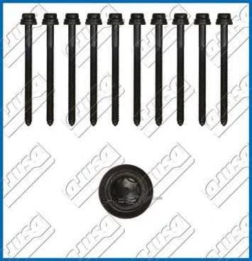 OEM CYLINDER HEAD BOLT SE 81019300