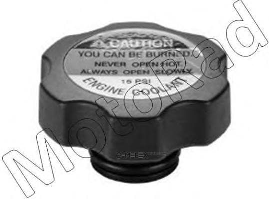 OEM CAP, OIL FILLER T46