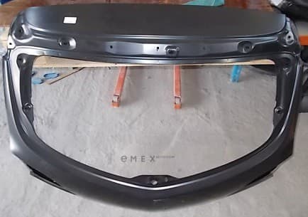 OEM DOOR ASSY BBY96202XE