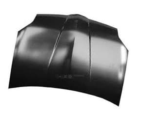 OEM HOOD MN150295