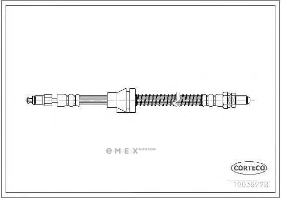 OEM 19036228