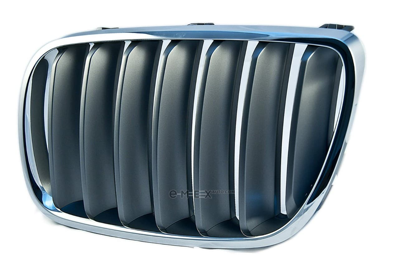 OEM Grille, front, left 51113420091