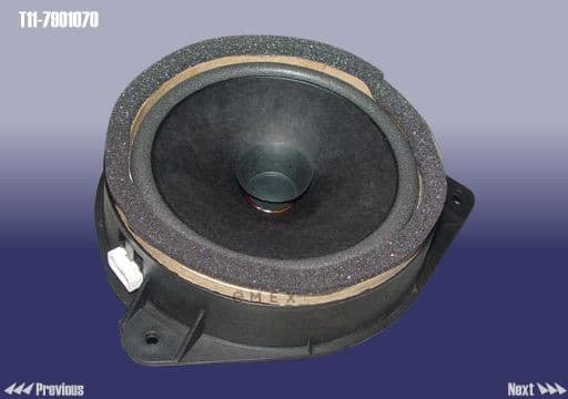 OEM SPEAKER ASSY - DOOR T117901070