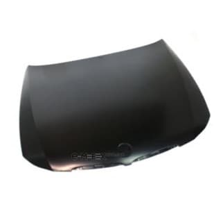 OEM HOOD 41617140729