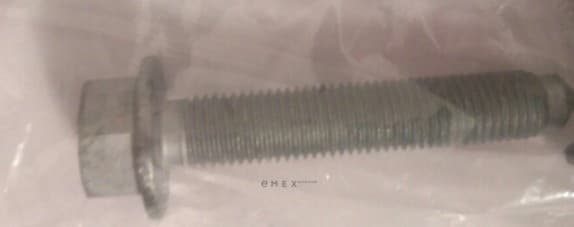 OEM BOLT, METAL N10552402