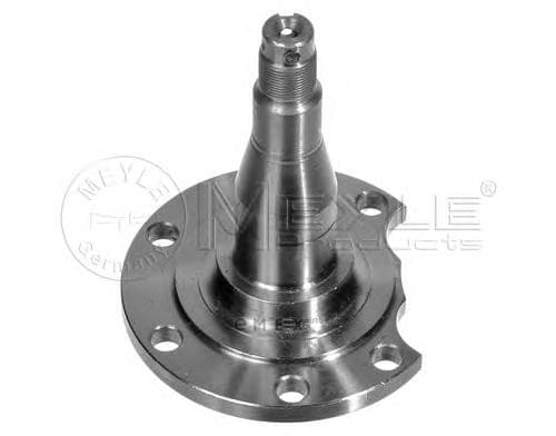 OEM STUB AXLE 1005010031