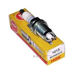 OEM SPARK PLUG 1013