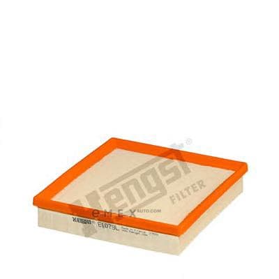 OEM AIR FILTER ELMT-2(F22)4(F33/36 E1079L