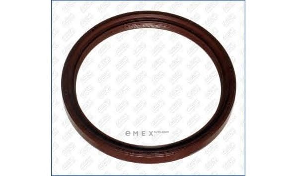 OEM SEAL RING 15049300