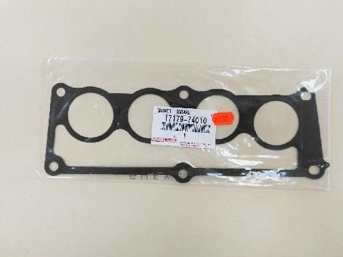 OEM GASKET, INTAKE 1717974010