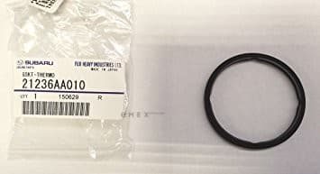 OEM GSKT-THERMO 21236AA010