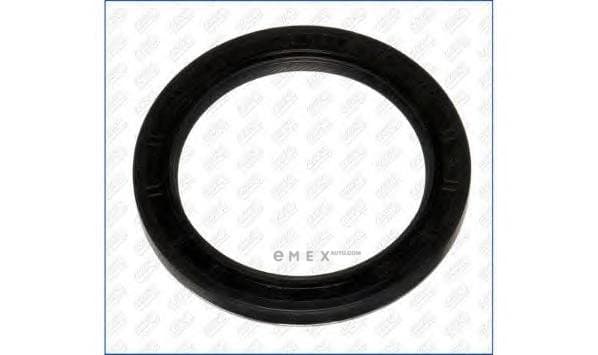 OEM SEAL RING 15033800