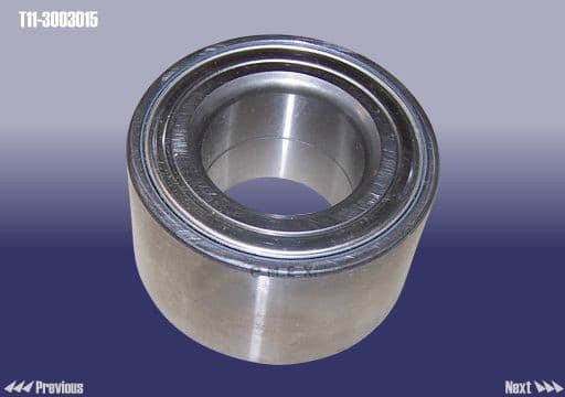 OEM WHEEL BEARING-FR T113003015