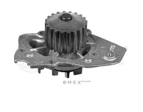 OEM WATER PUMP 11130120163