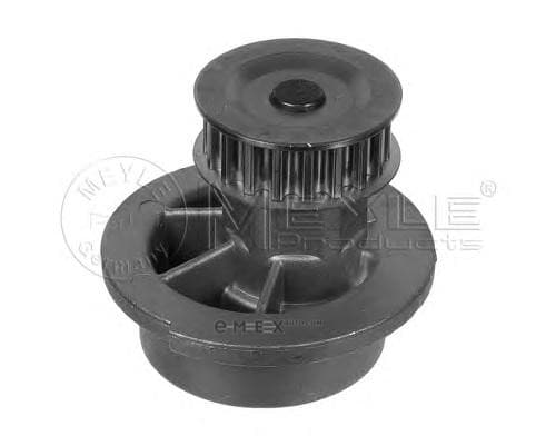 OEM WATER PUMP 6136004098