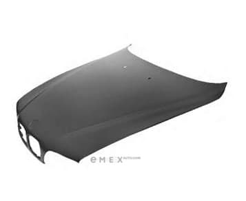 OEM HOOD 41618238592