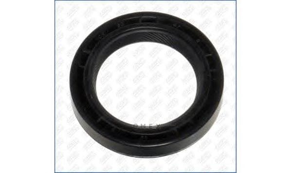 OEM SEAL RING 15010700