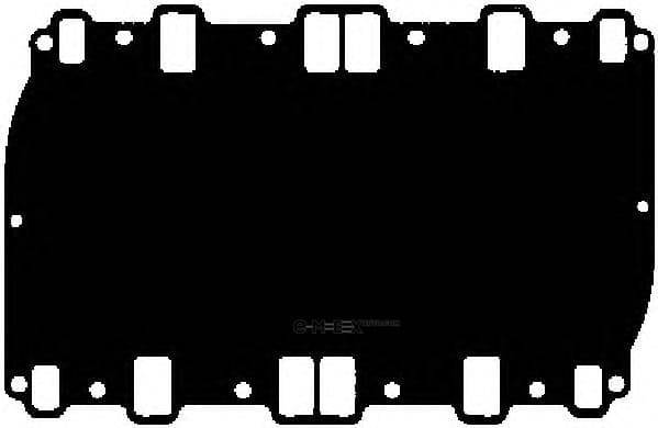 OEM INTAKE-EXHAUST GASKET 13070100