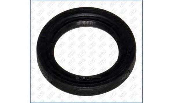 OEM SEAL RING 15058400