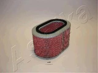 OEM FILTER ASSY, AIR ELEMENT 2005508