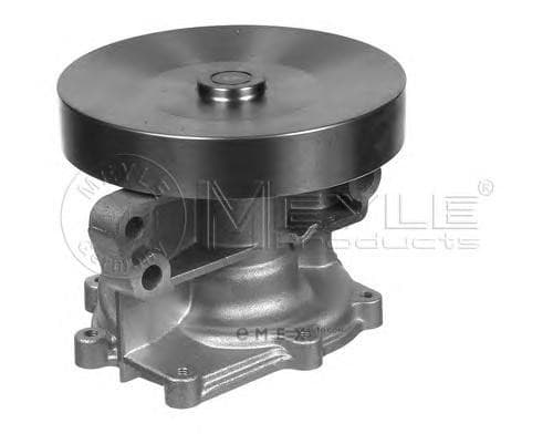 OEM WATER PUMP 8139321951