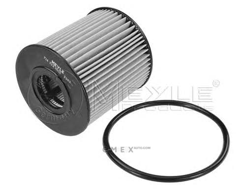 OEM OIL FILTER 7143220011