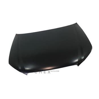 OEM HOOD 8P0823029E