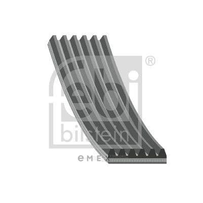 OEM V-RIBBED BELT 29019