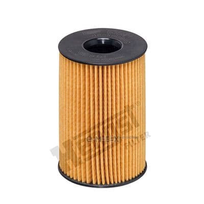 OEM OIL FILTER E359HD306