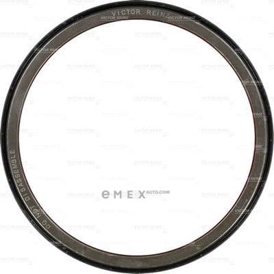 OEM SEAL RING 813717300